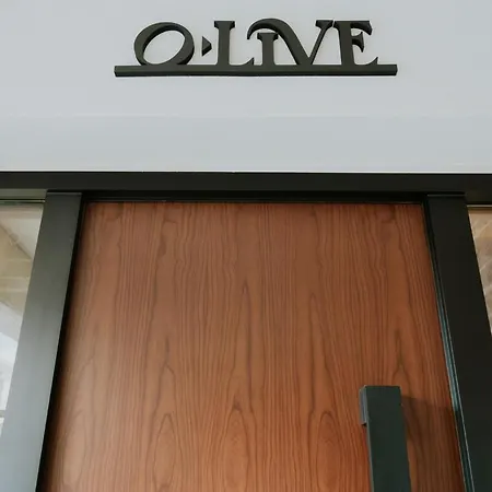 Olive 204 Apartment